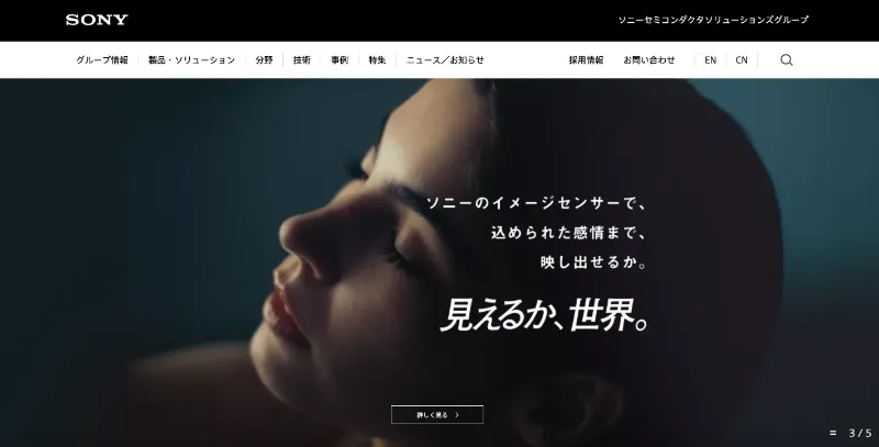 ソニーセミコンダクタソリューションズグループ